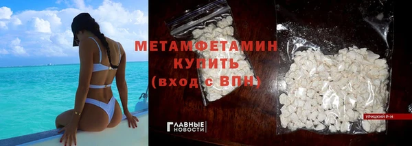 ПСИЛОЦИБИНОВЫЕ ГРИБЫ Гусев
