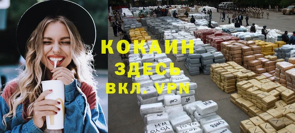 ПСИЛОЦИБИНОВЫЕ ГРИБЫ Гусев