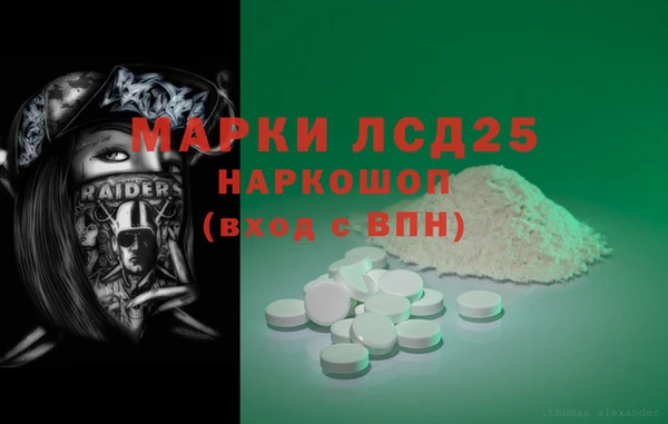 ПСИЛОЦИБИНОВЫЕ ГРИБЫ Гусев