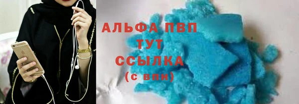 ПСИЛОЦИБИНОВЫЕ ГРИБЫ Гусев