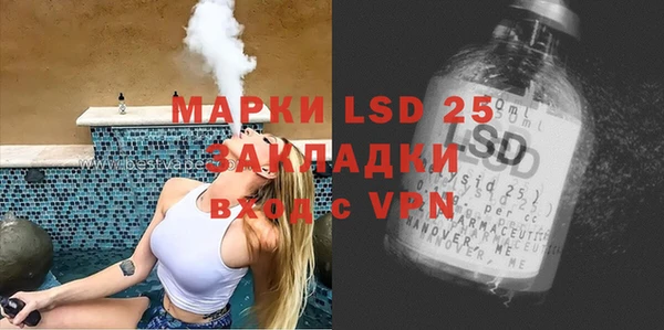 ПСИЛОЦИБИНОВЫЕ ГРИБЫ Гусев