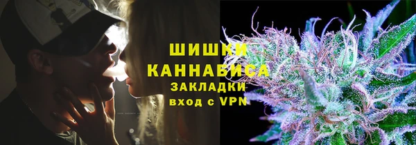 ПСИЛОЦИБИНОВЫЕ ГРИБЫ Гусев